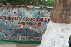 130-Kachikally-crocodile-pool-and-museum-Gambia