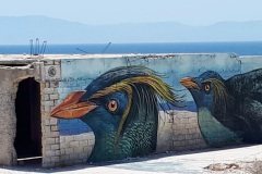 33-Rapaci-Naxos-Grecia