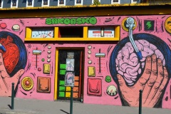 48-La-mente-e-la-ragione-di-Sakoasko-_Annecy