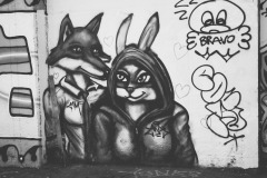 Il gatto e la volpe