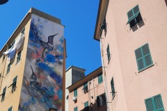 78-I-COLIBRI-_Genova-Certosa
